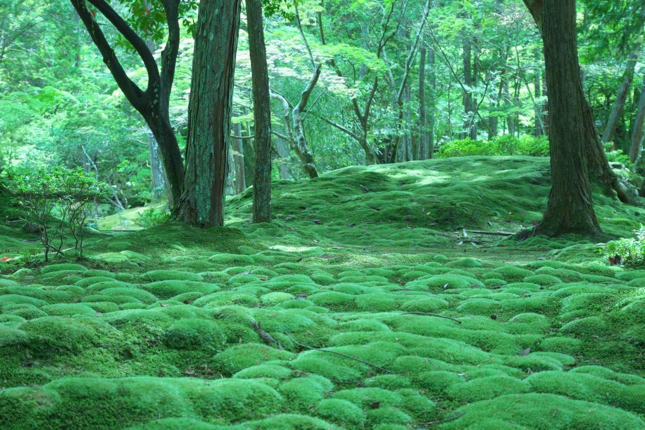 Hotel Arrows Arashiyama كيوتو المظهر الخارجي الصورة